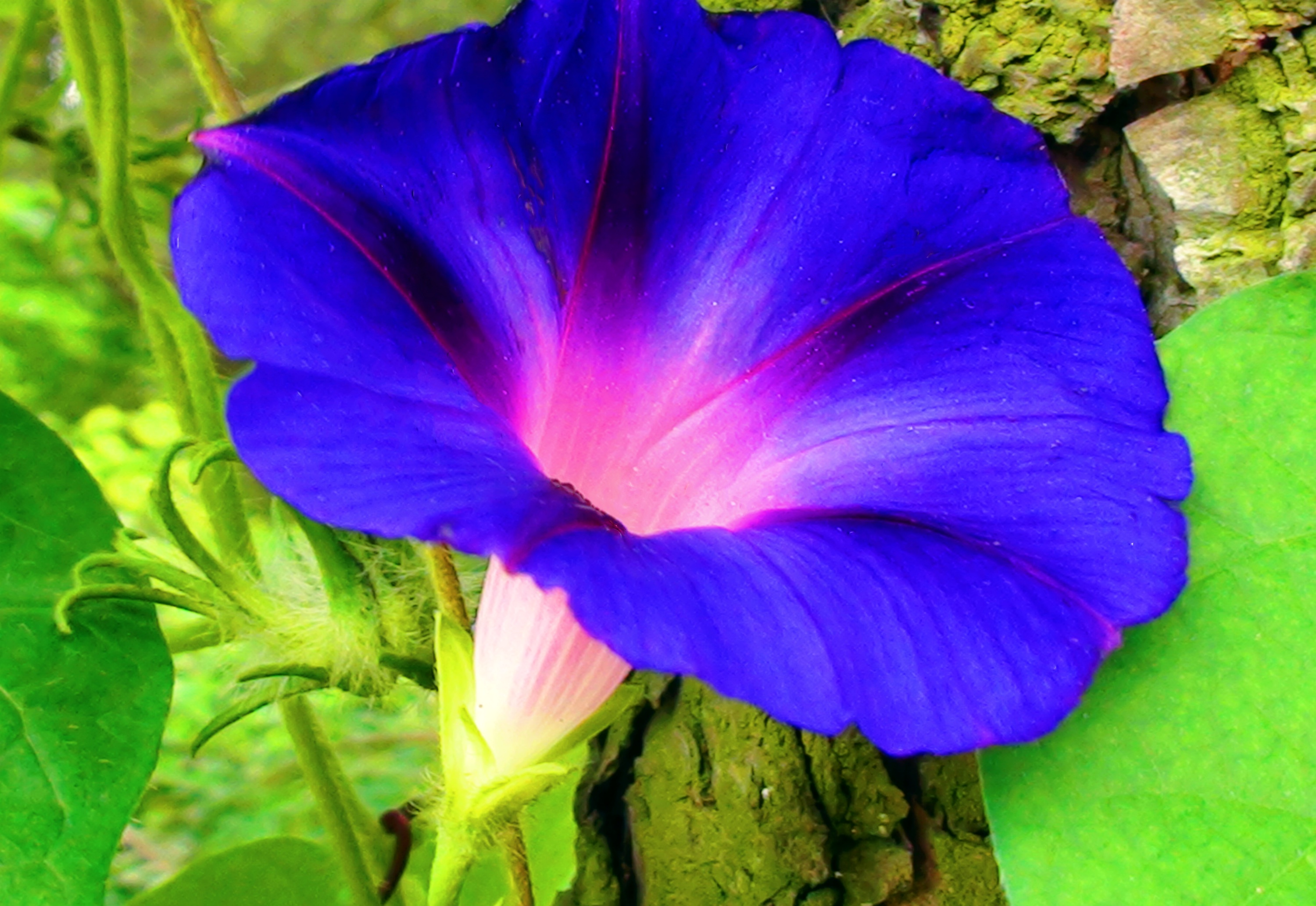 DSC05013.JPG