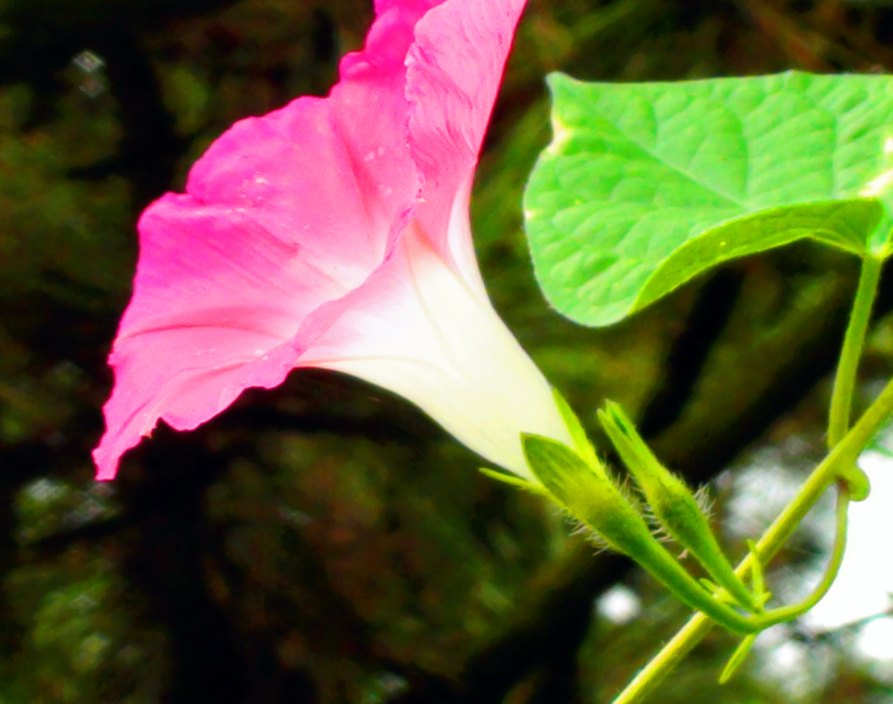 DSC05016.JPG