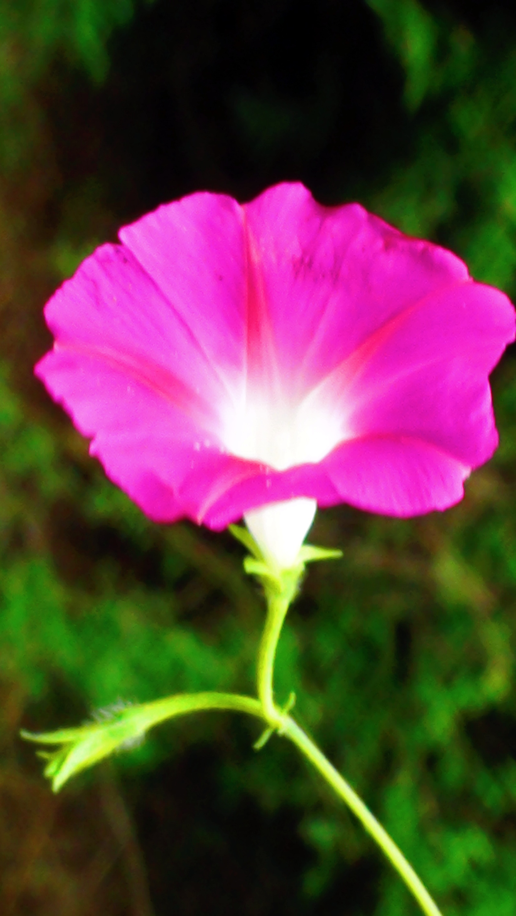 DSC05030.JPG