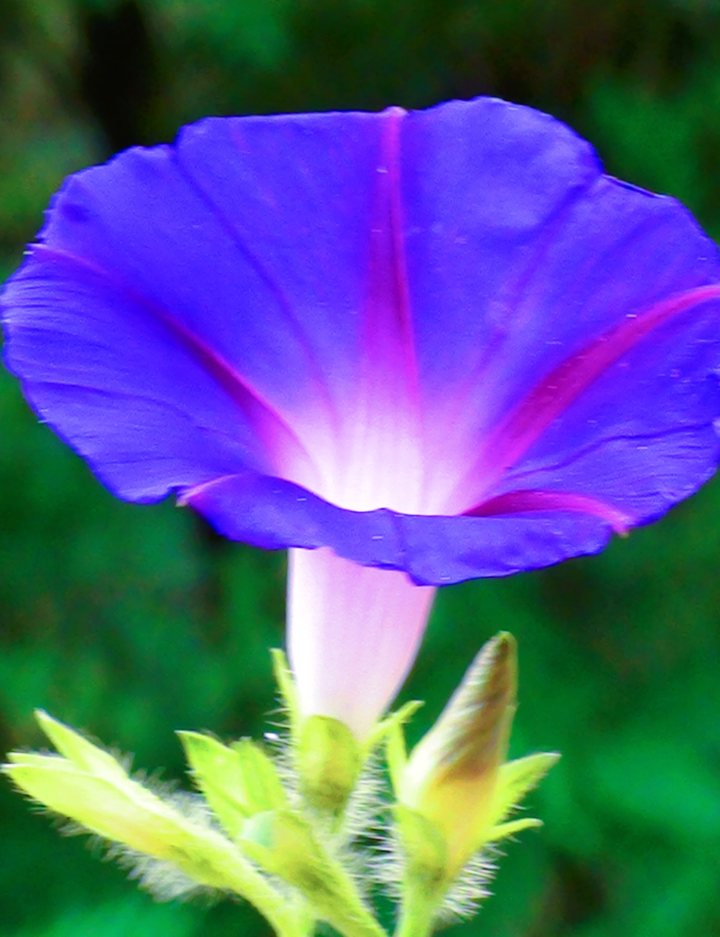DSC05026.JPG