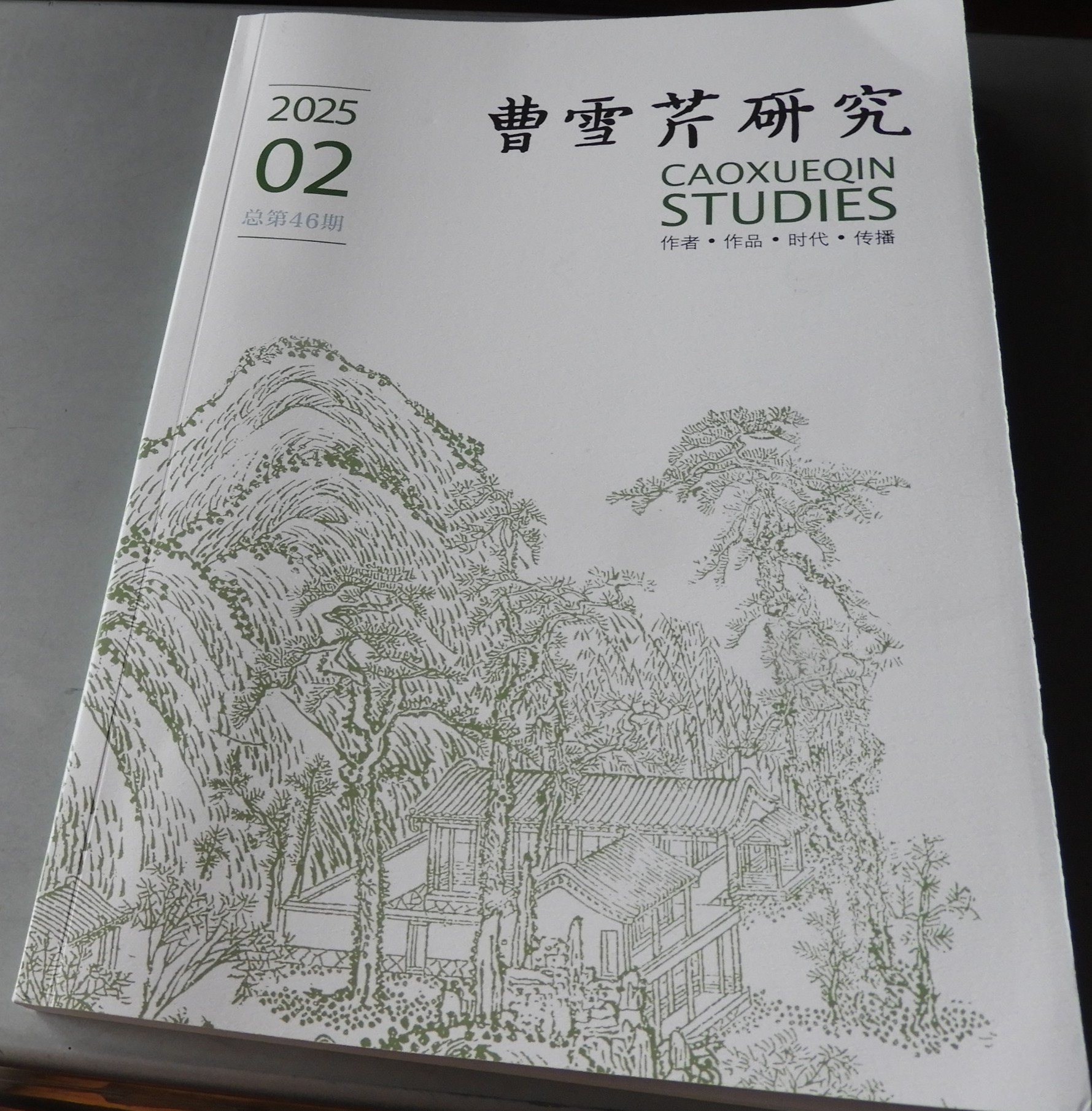 DSCN8463.JPG