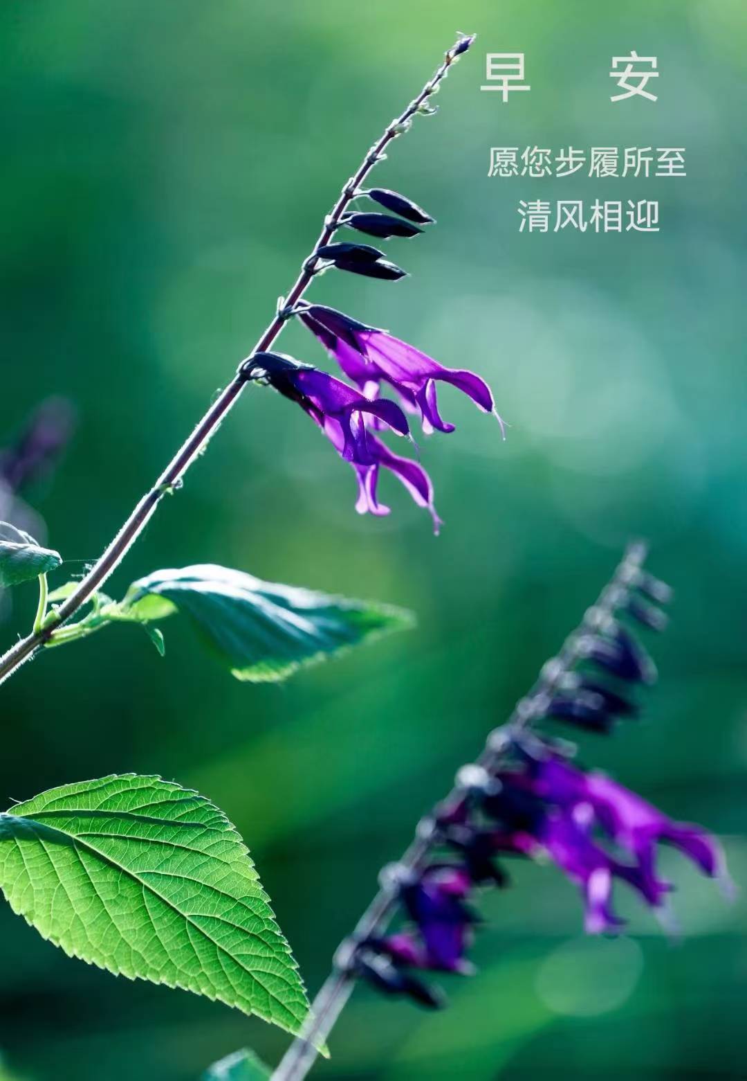 87045f044ee26cddb640cfe4c7bca89.jpg