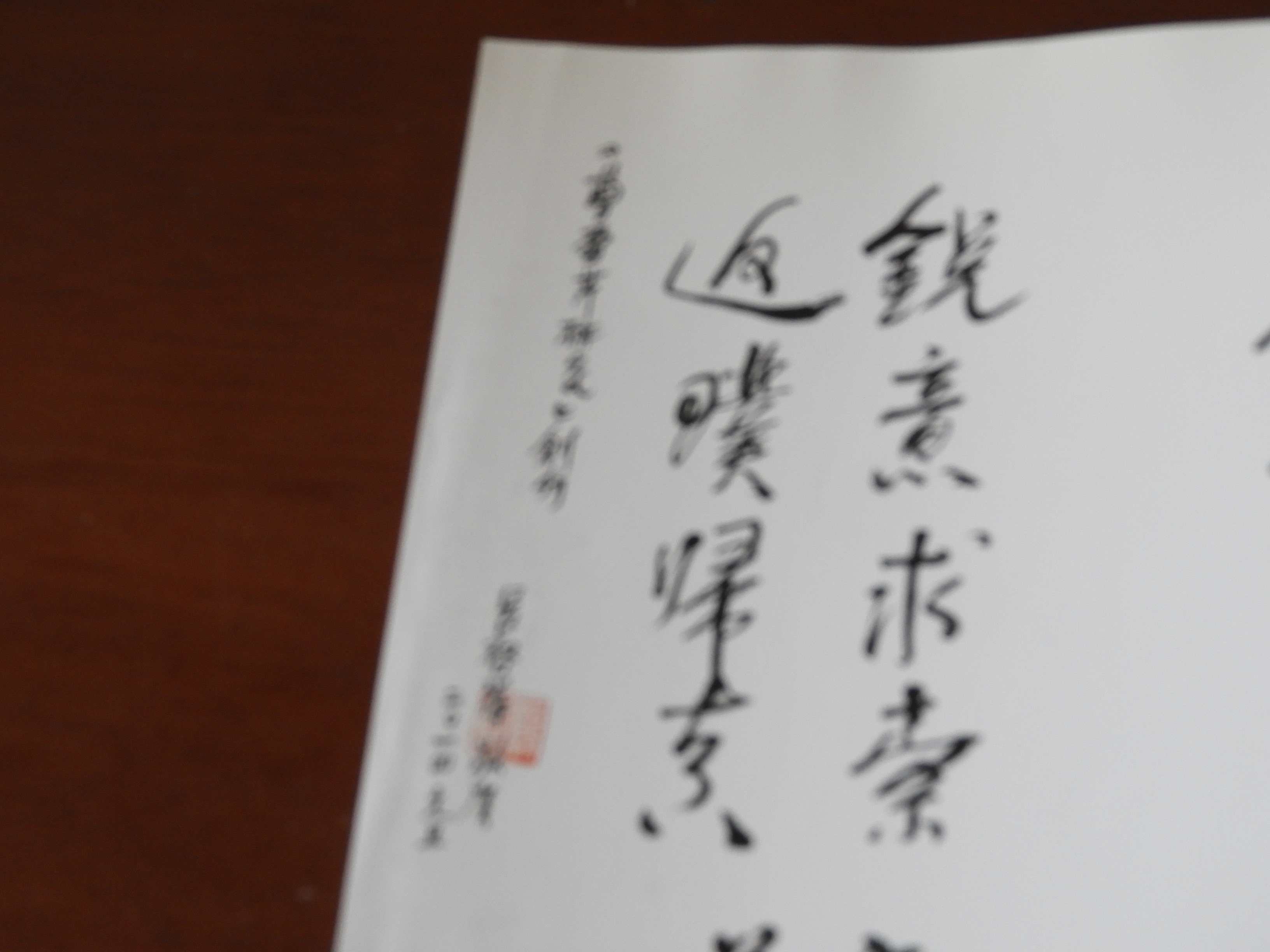 DSCN8560.JPG