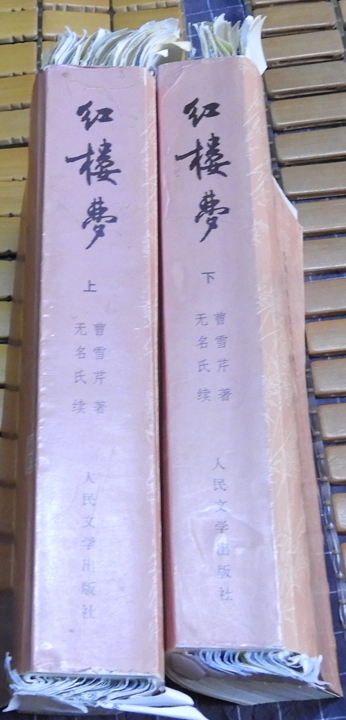 DSCN8593.JPG