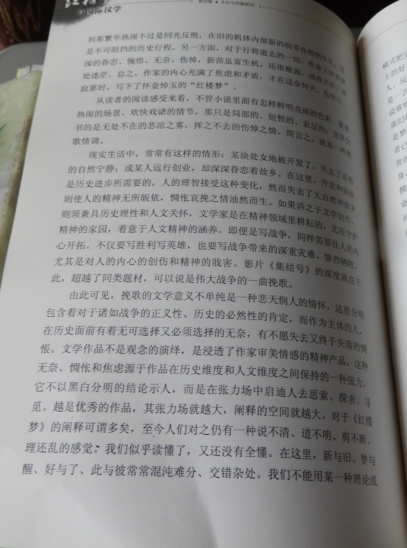 DSCN8608.JPG