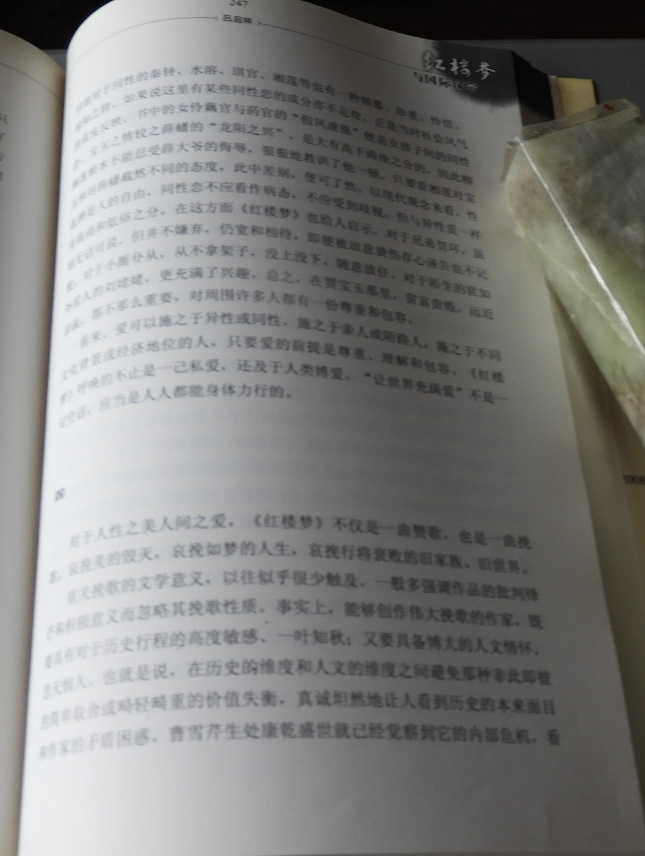 DSCN8607.JPG