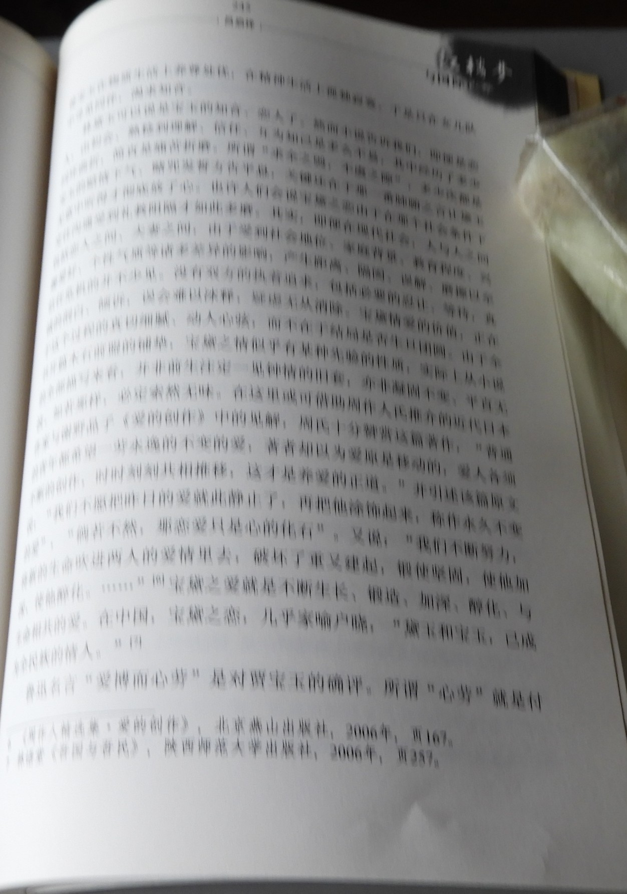 DSCN8605.JPG