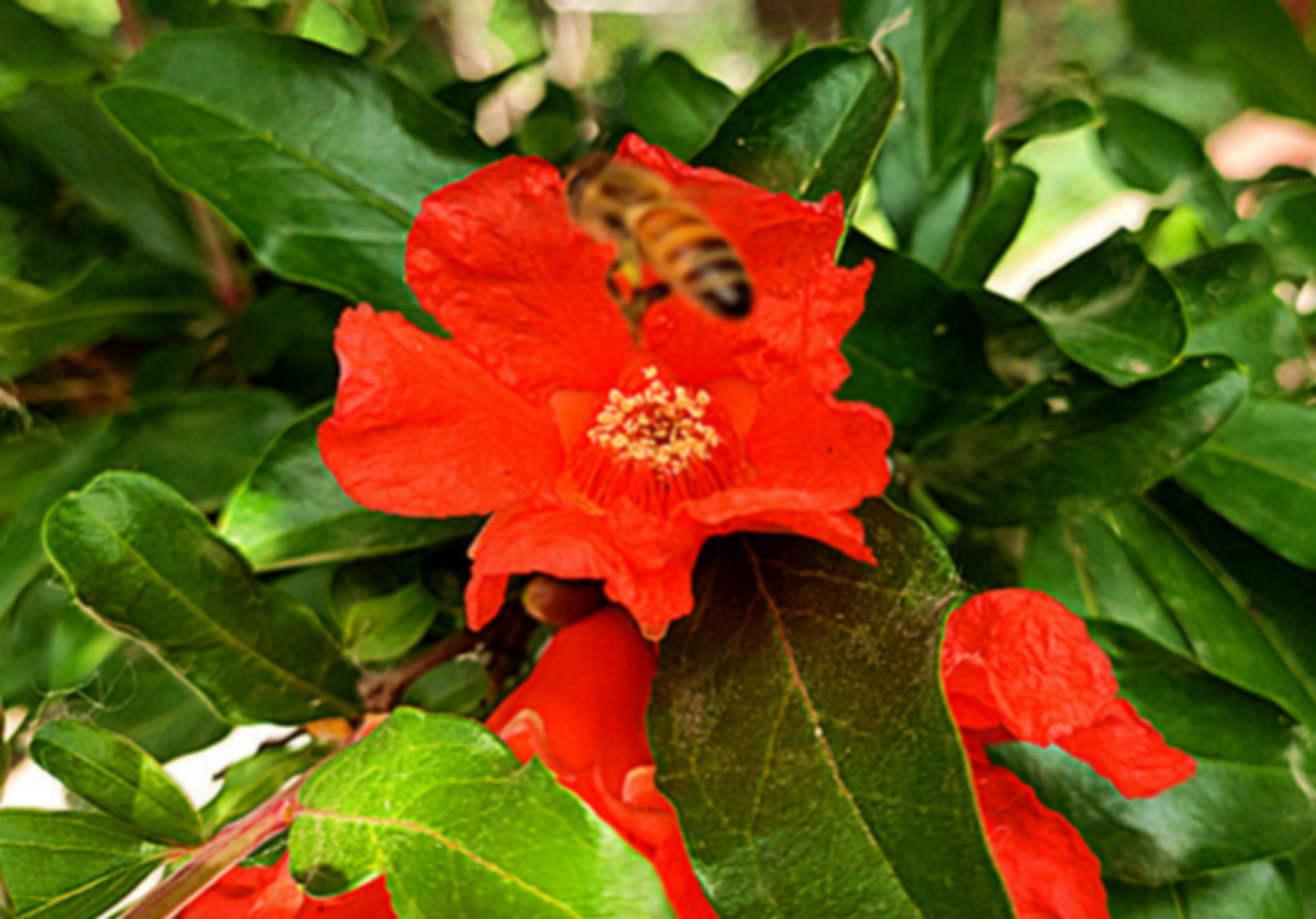IMG_20250703_065004.jpg