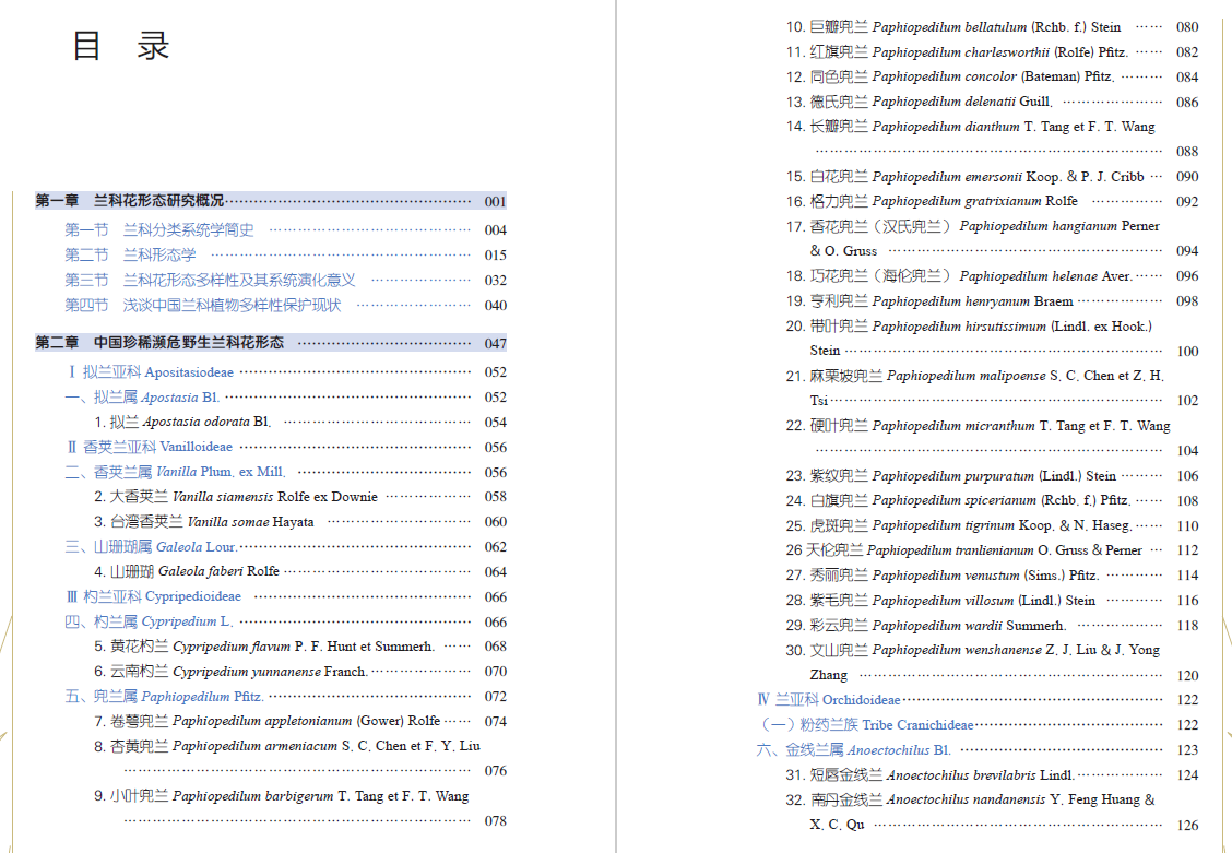 QQ_1751648218562.png