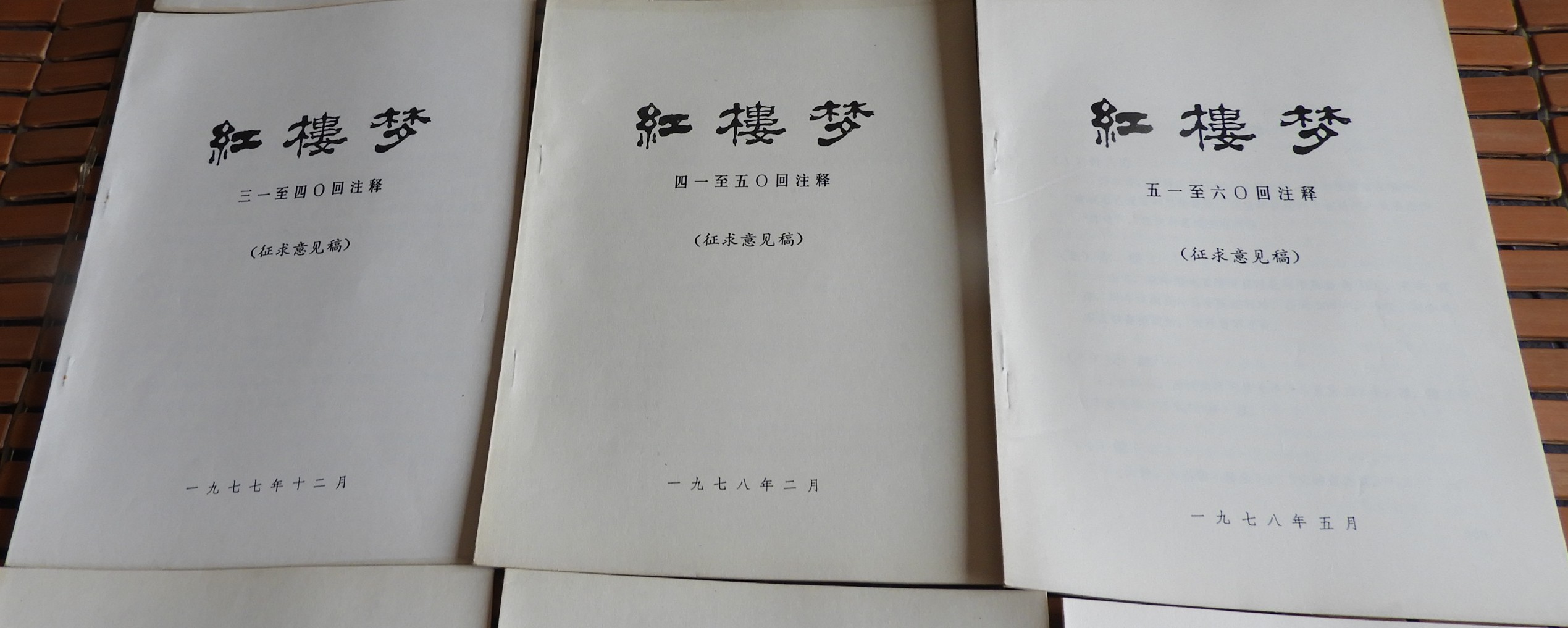 DSCN8728.JPG