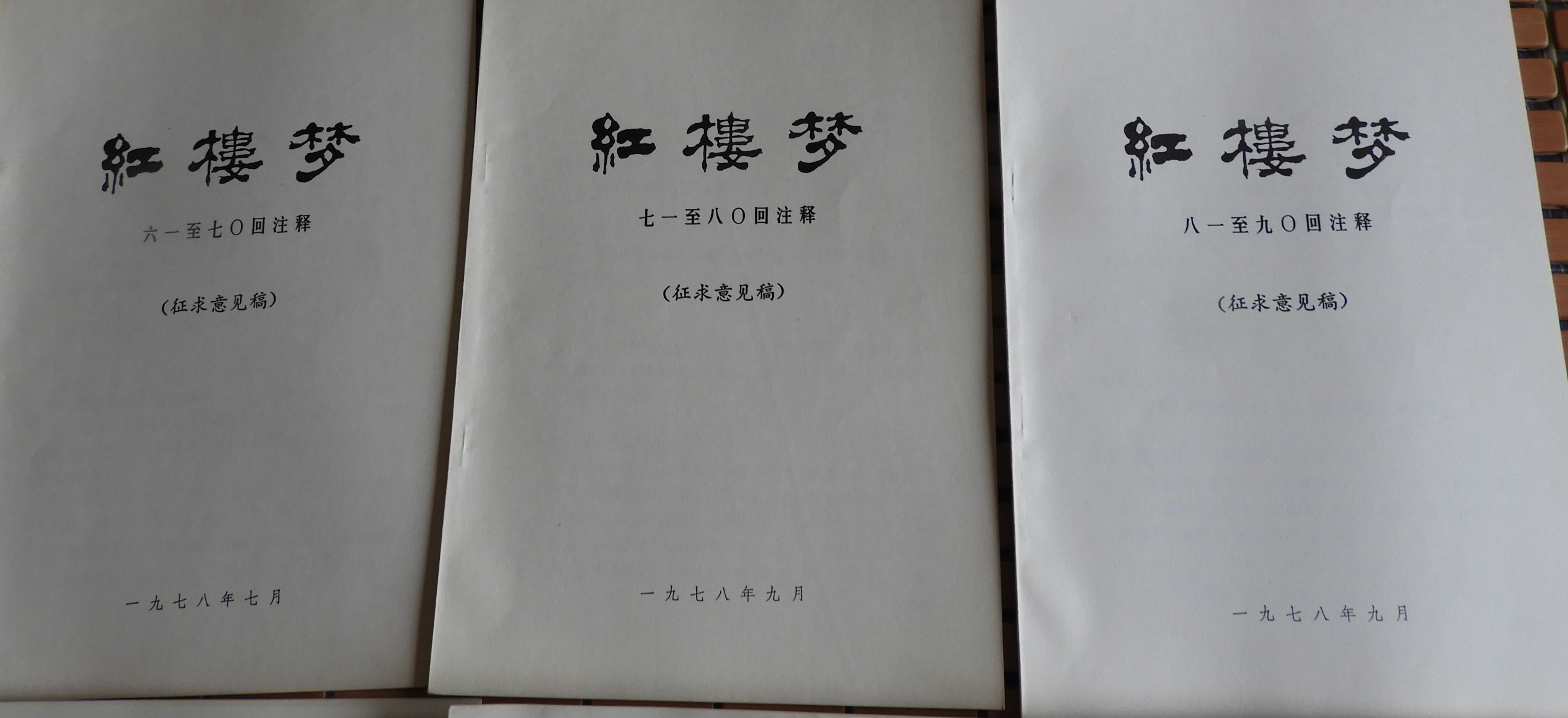 DSCN8729.JPG