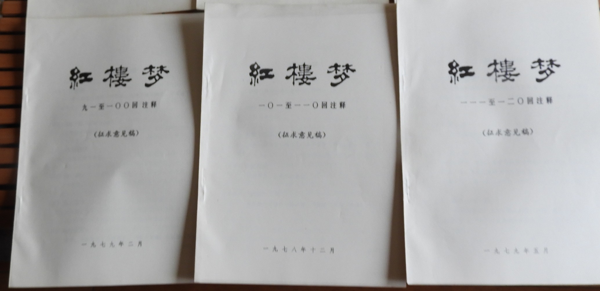 DSCN8730.JPG