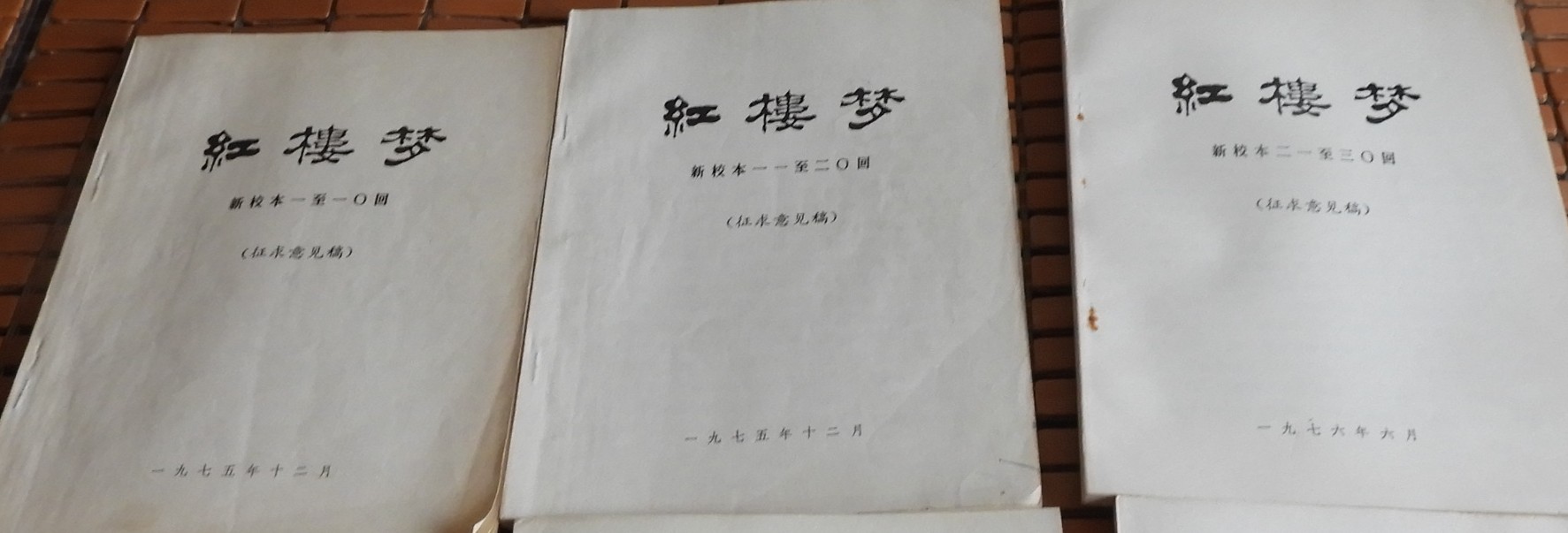 DSCN8732.JPG