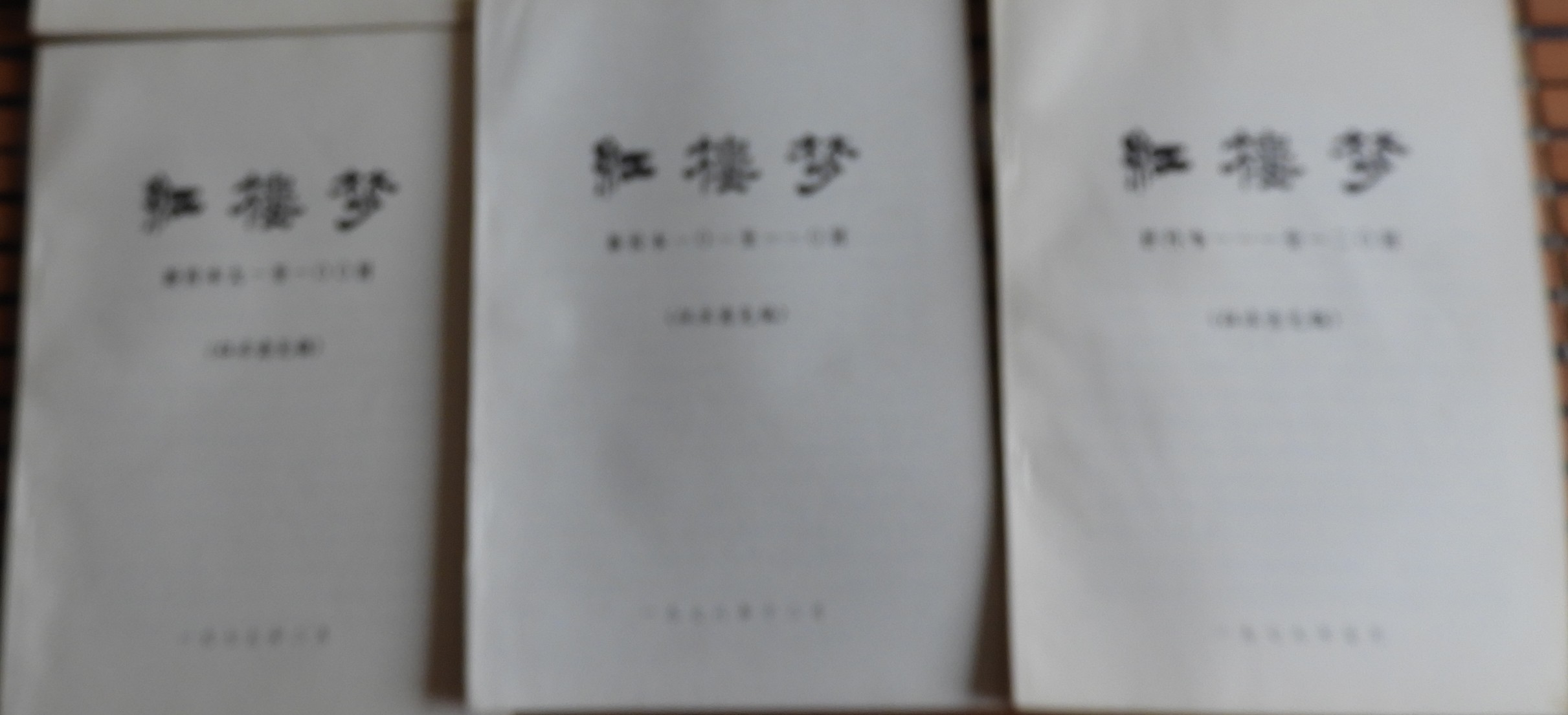 DSCN8735.JPG