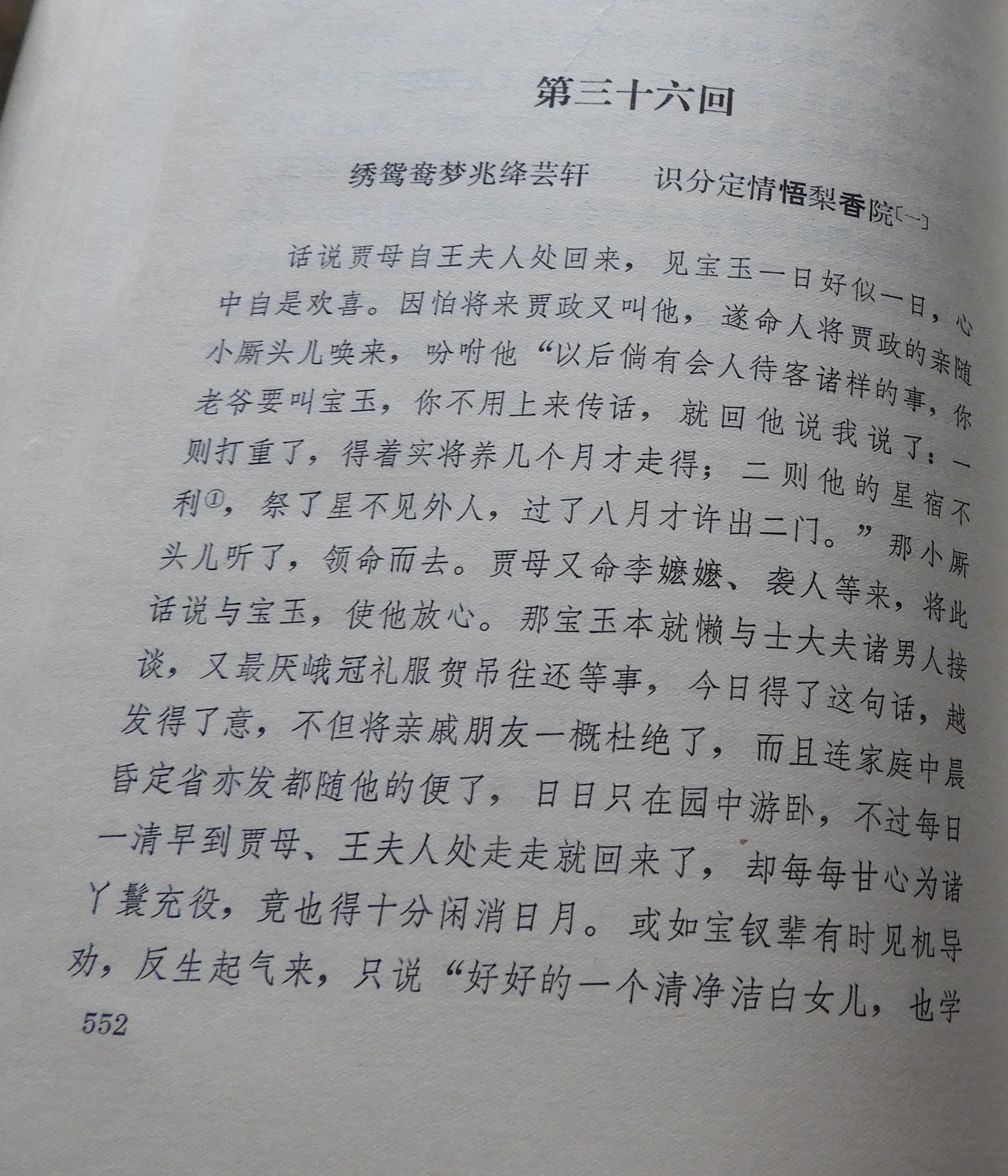 DSCN7906.JPG