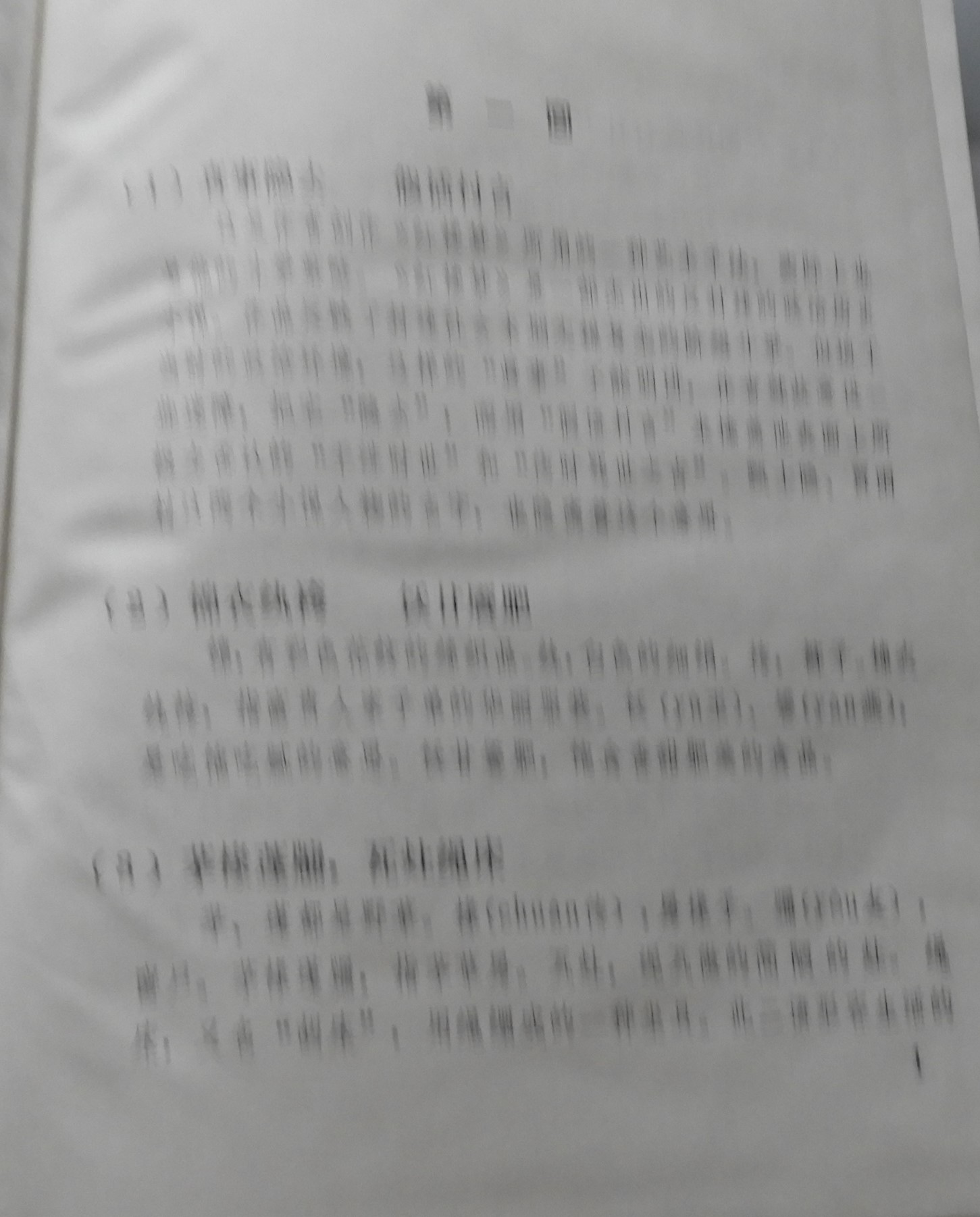 DSCN8032.JPG