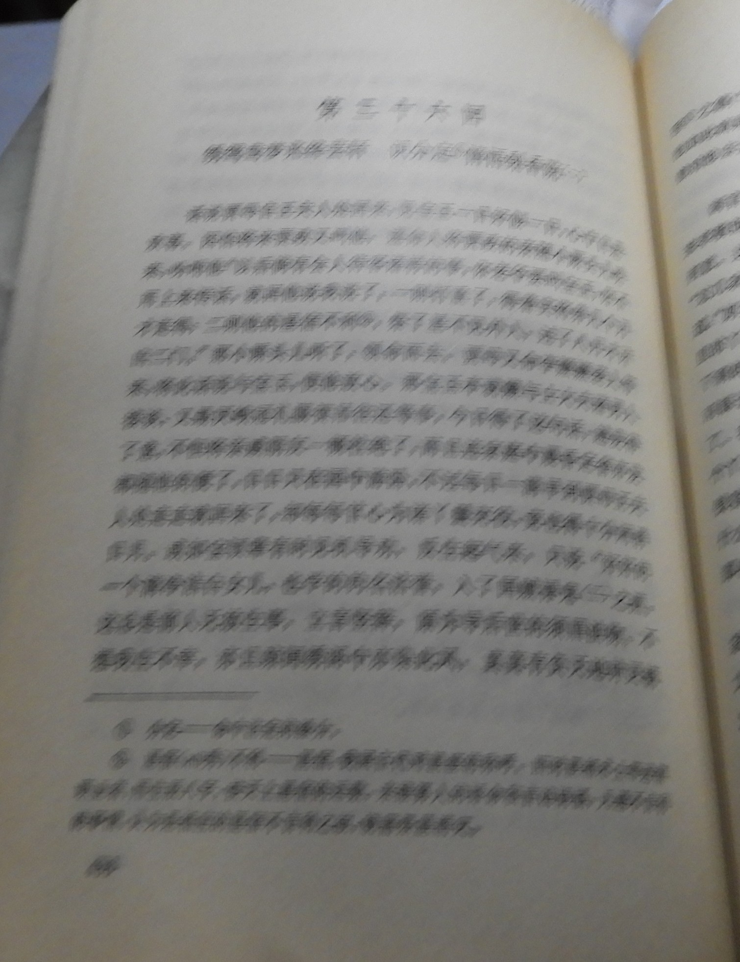 DSCN8796.JPG