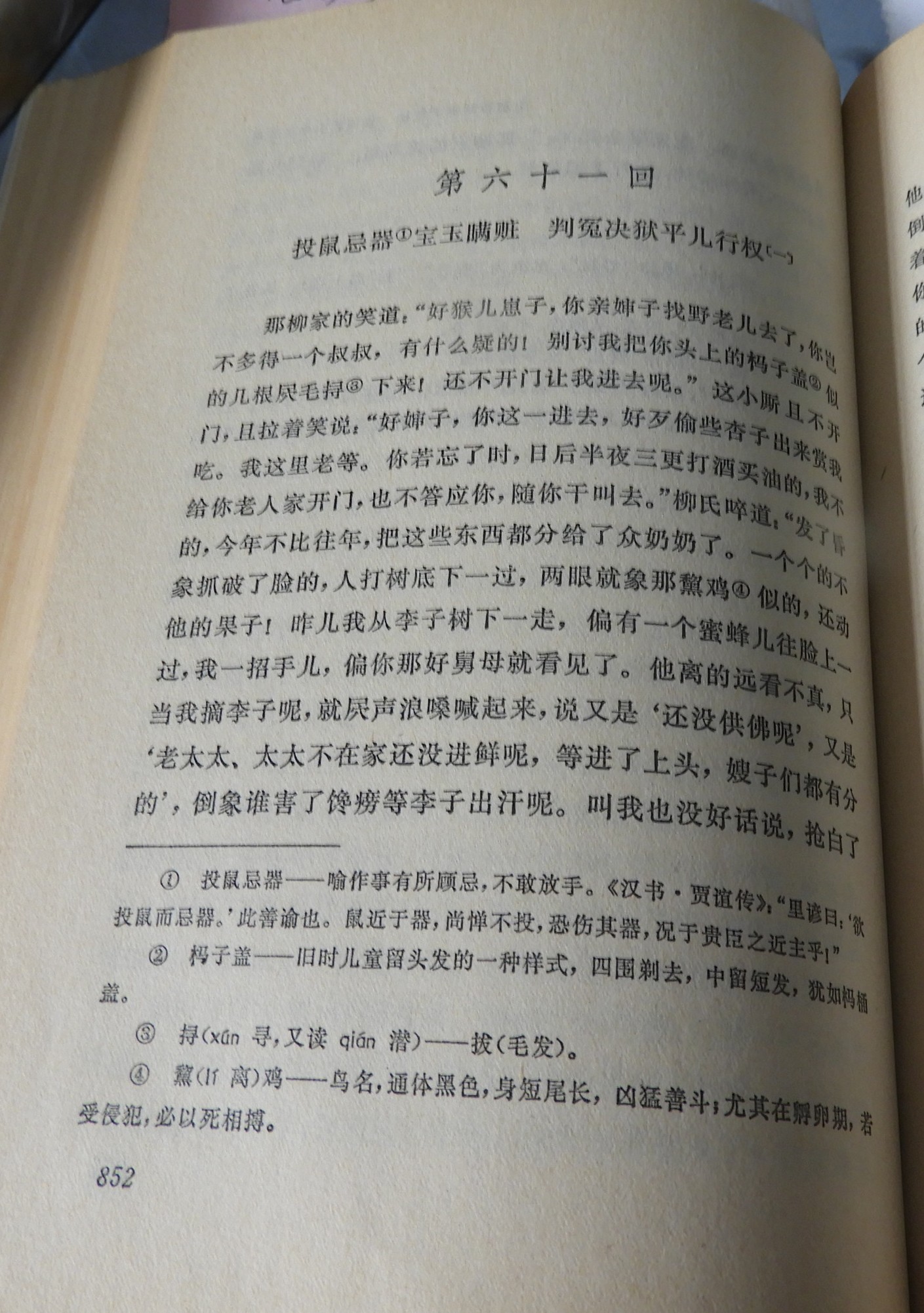 DSCN8823.JPG