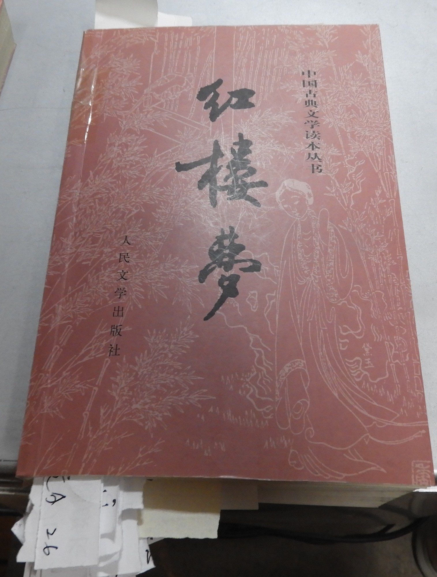 DSCN8910.JPG