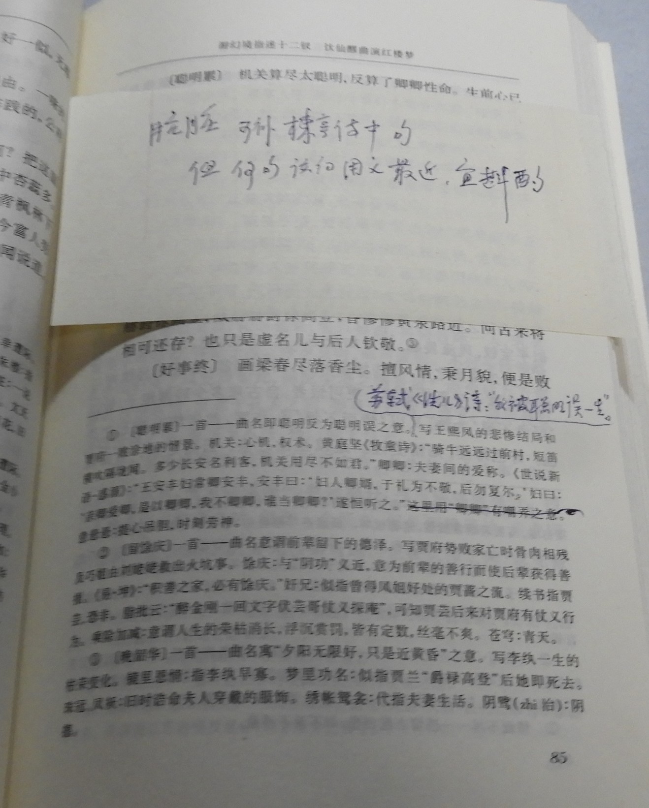 DSCN8926.JPG