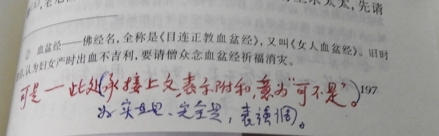 DSCN8937.JPG