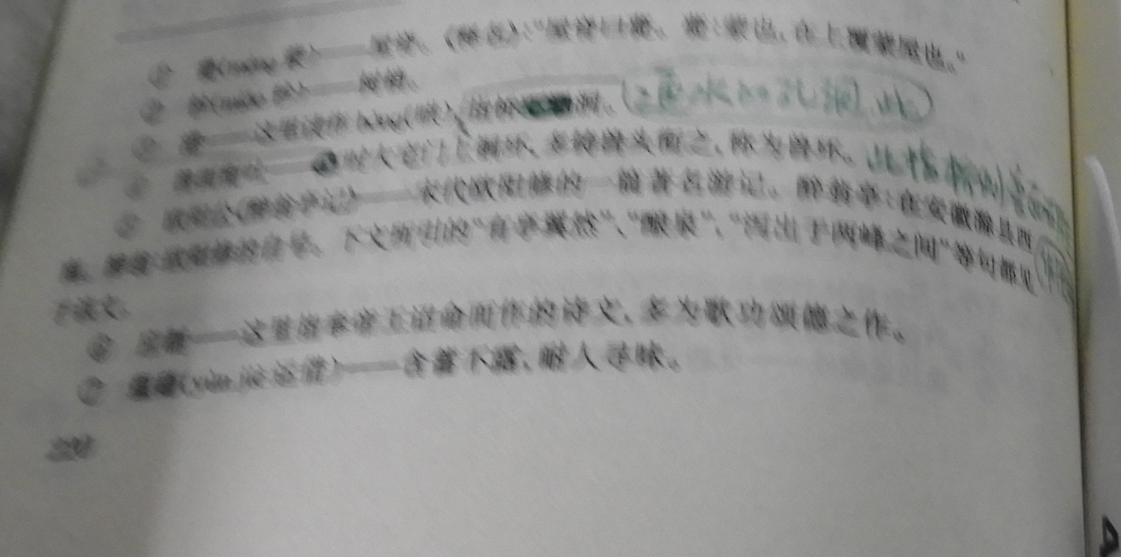 DSCN8944.JPG
