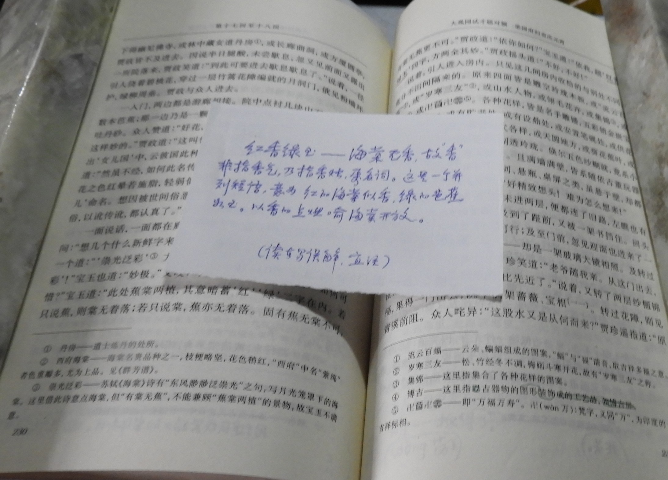 DSCN8946.JPG