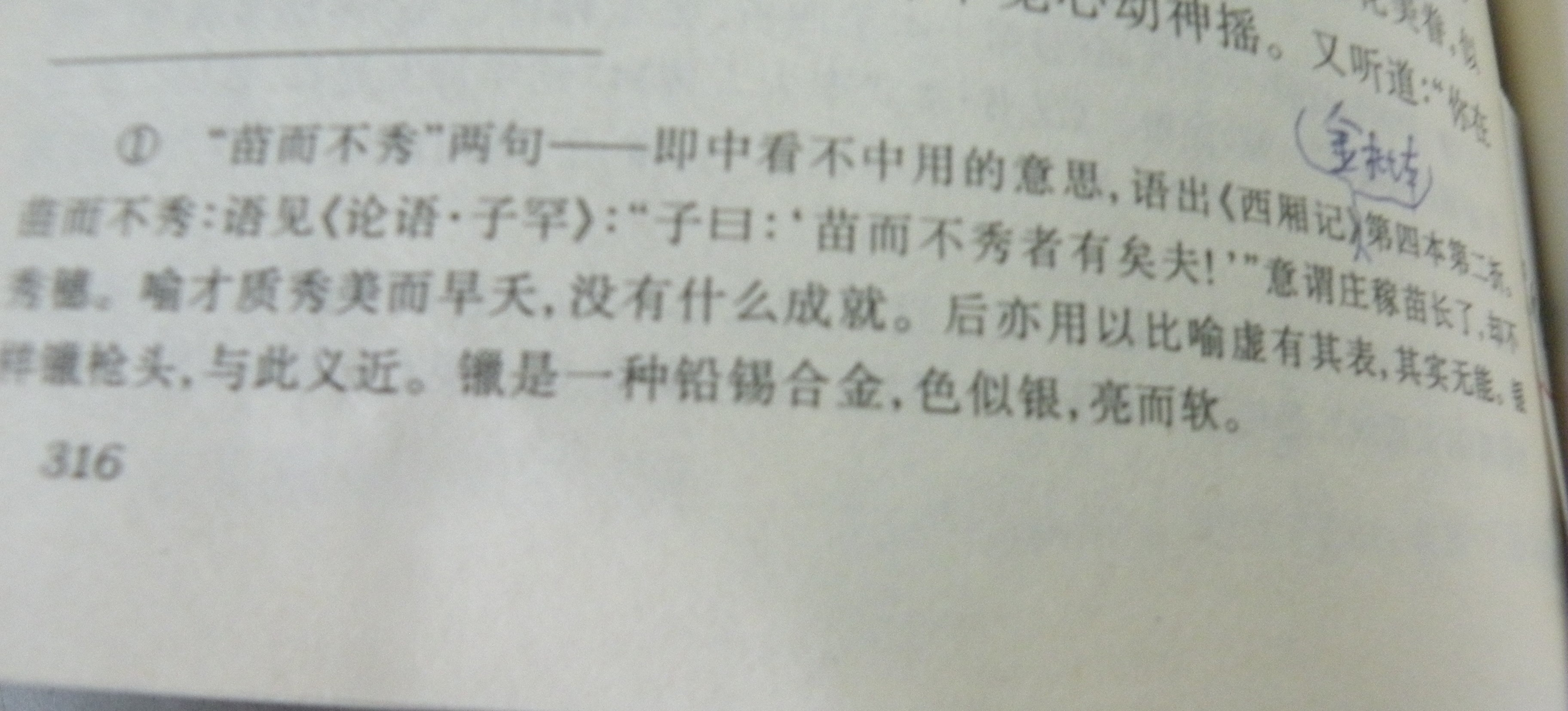 DSCN8493.JPG