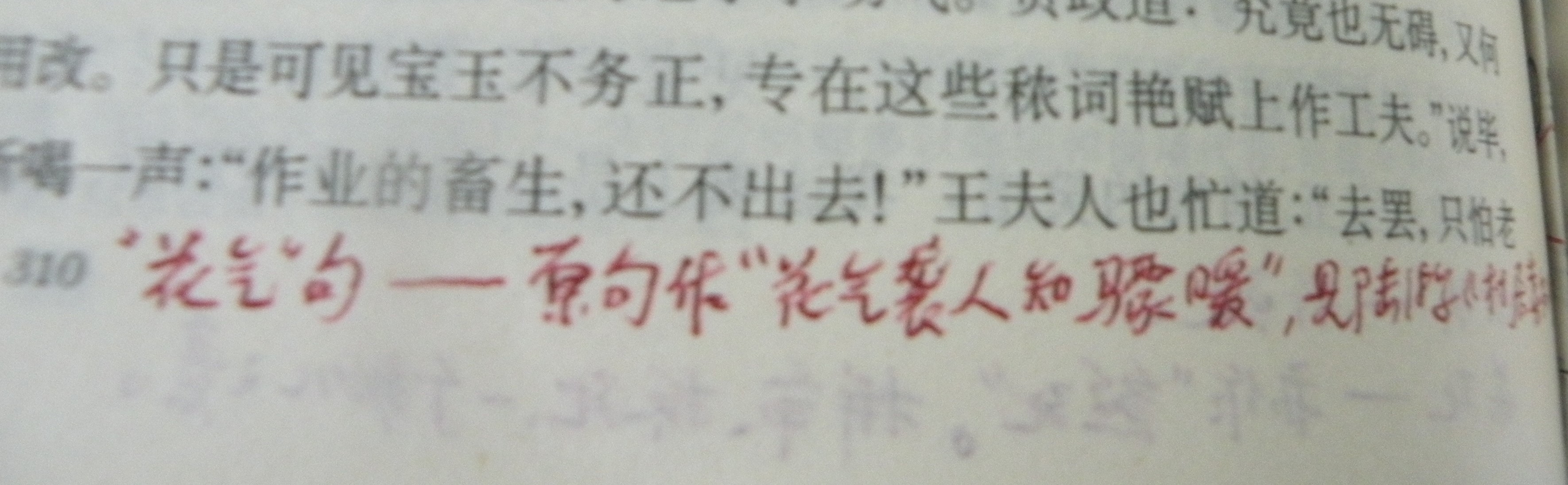 DSCN8491.JPG