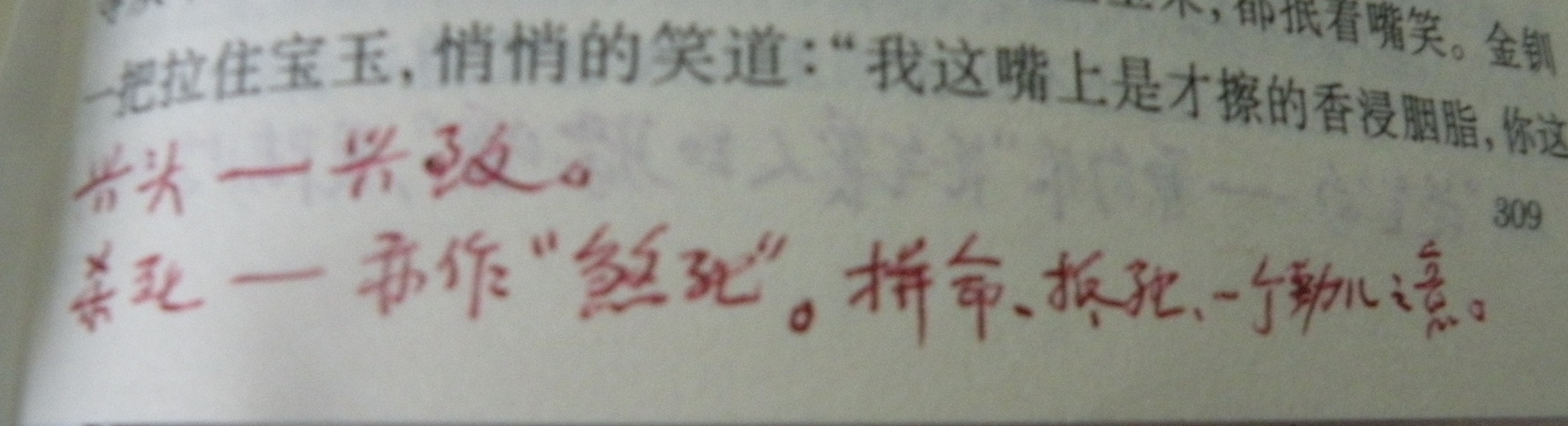 DSCN8490.JPG