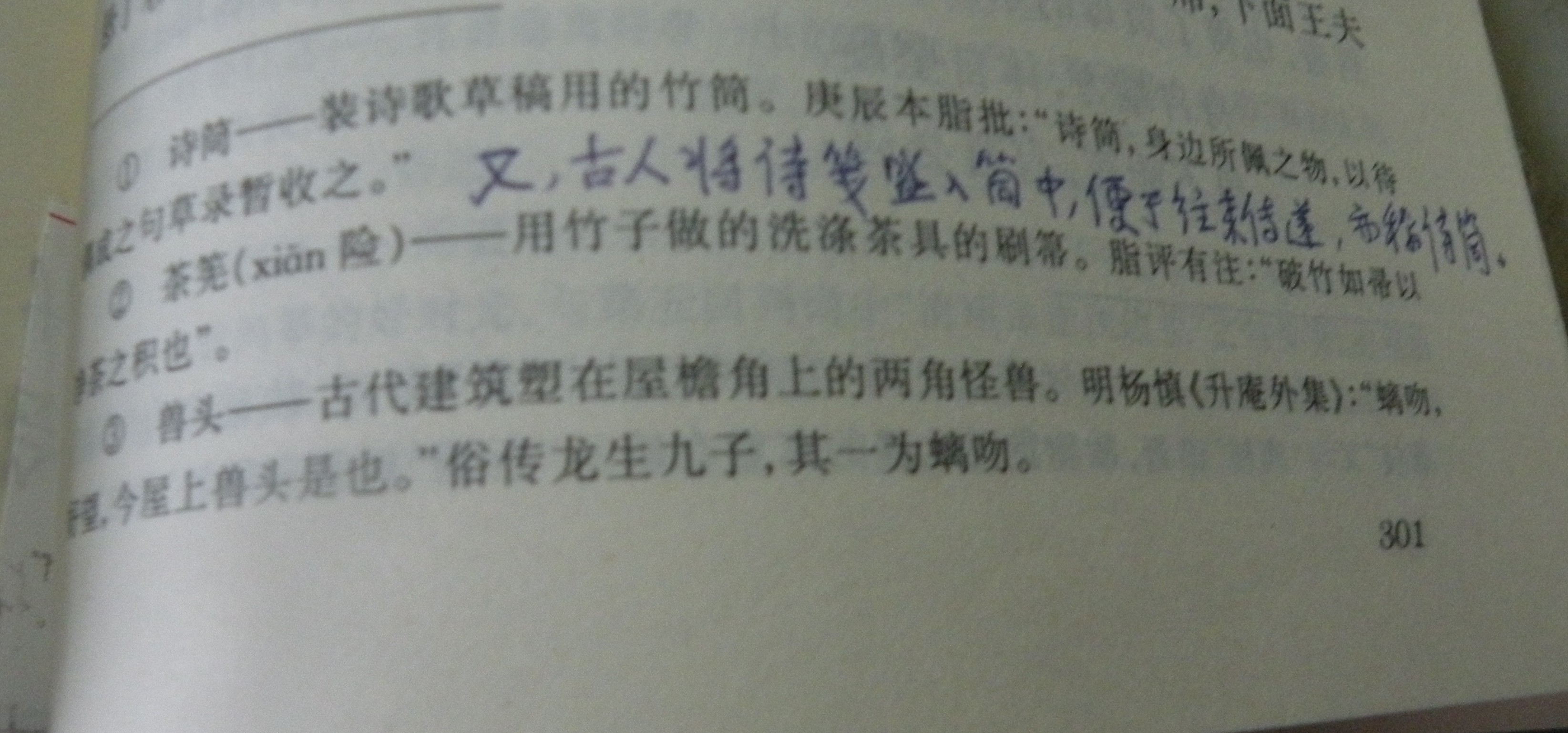 DSCN8489.JPG