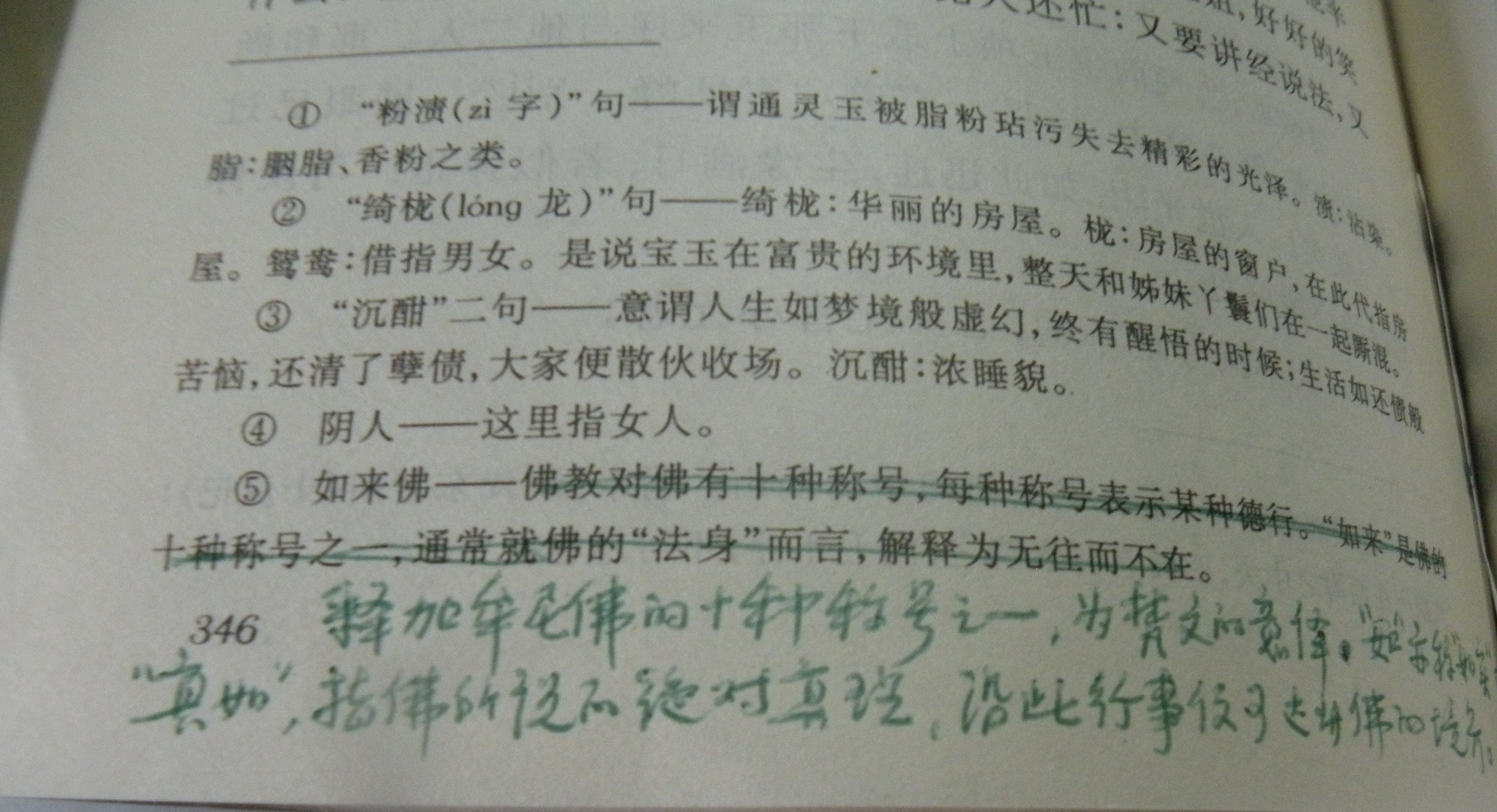 DSCN8500.JPG