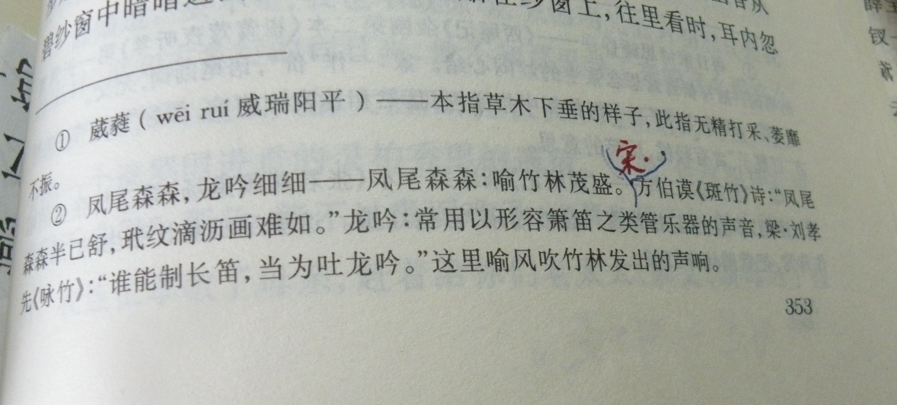 DSCN8501.JPG