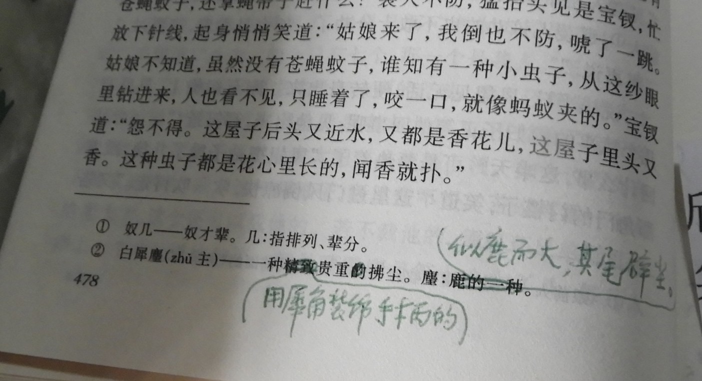 DSCN8962.JPG