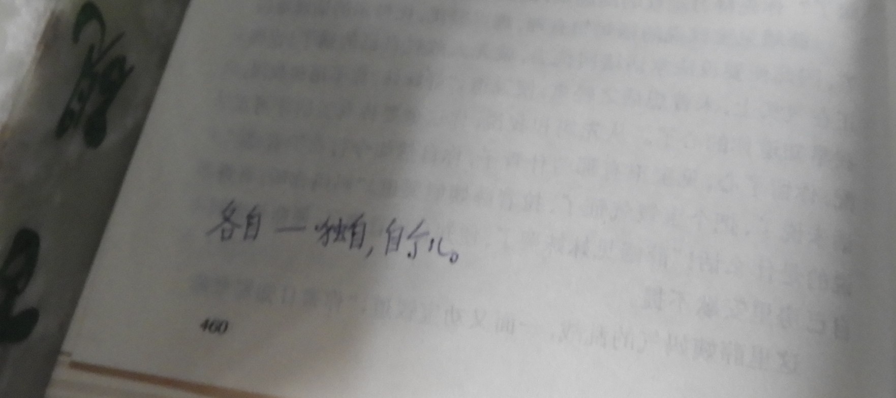 DSCN8960.JPG