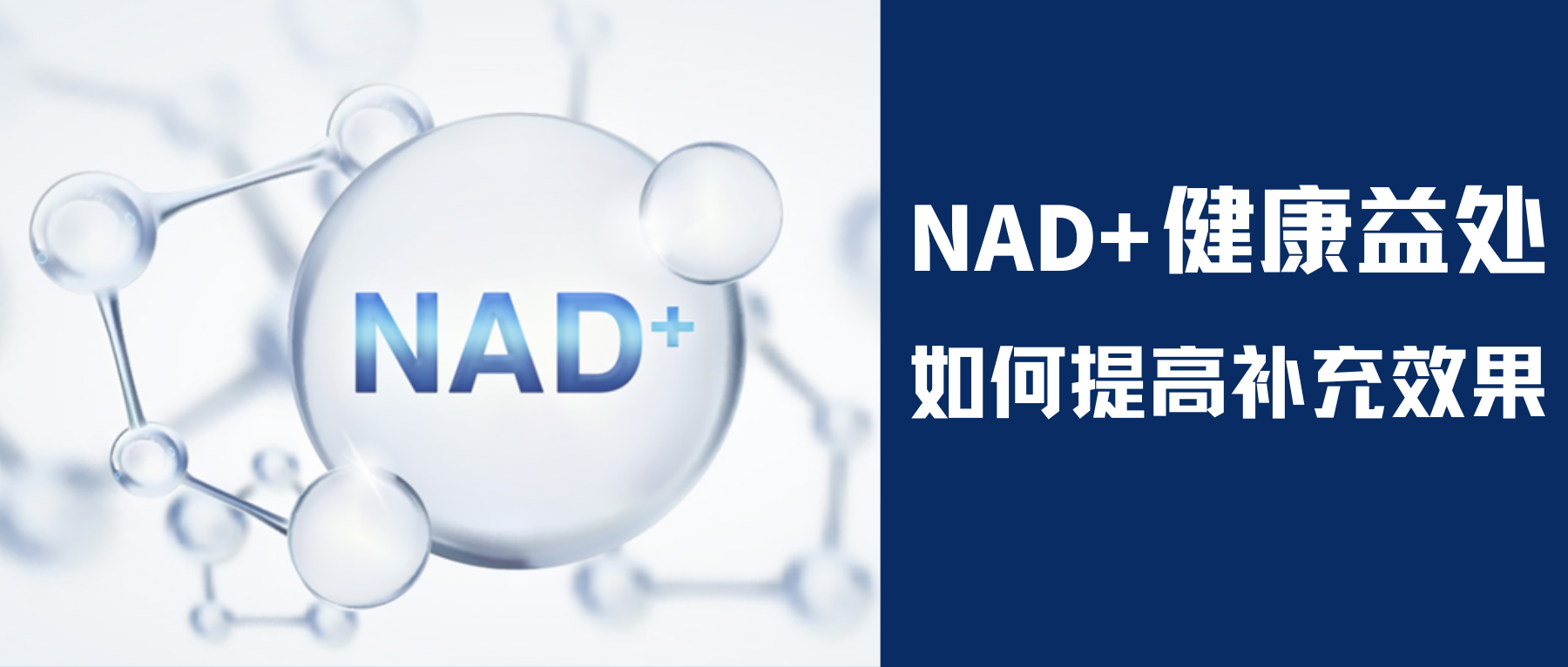NAD+.png
