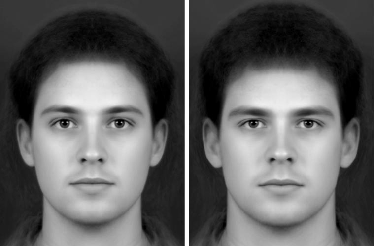 Figure 1. (a) 50% feminized male composite and (b) 50% masculinized male composite..jpg