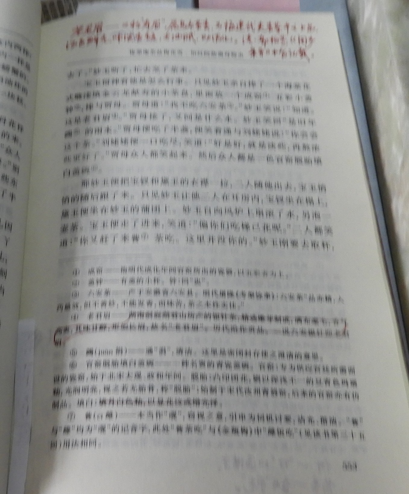 DSCN8971.JPG