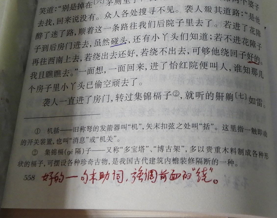 DSCN8973.JPG