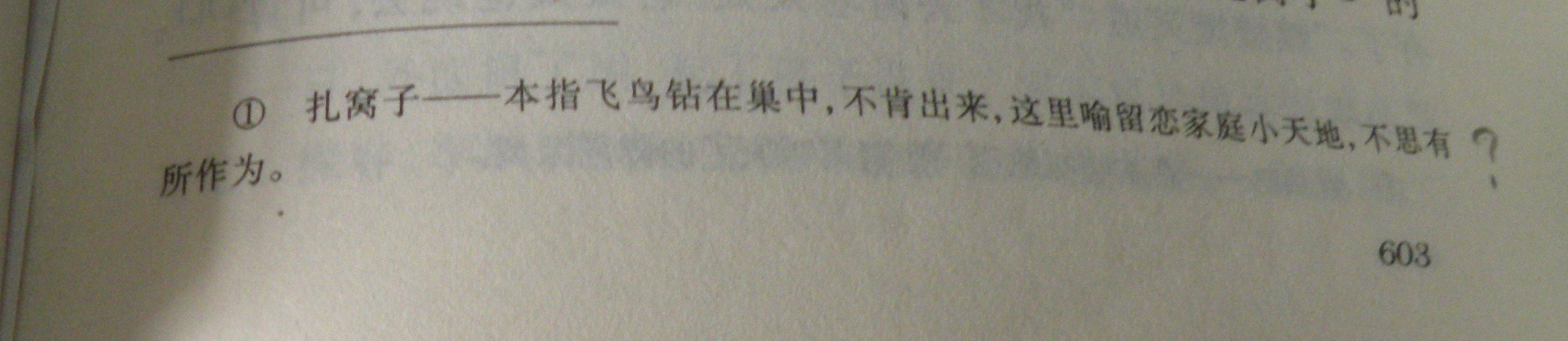 DSCN8520.JPG
