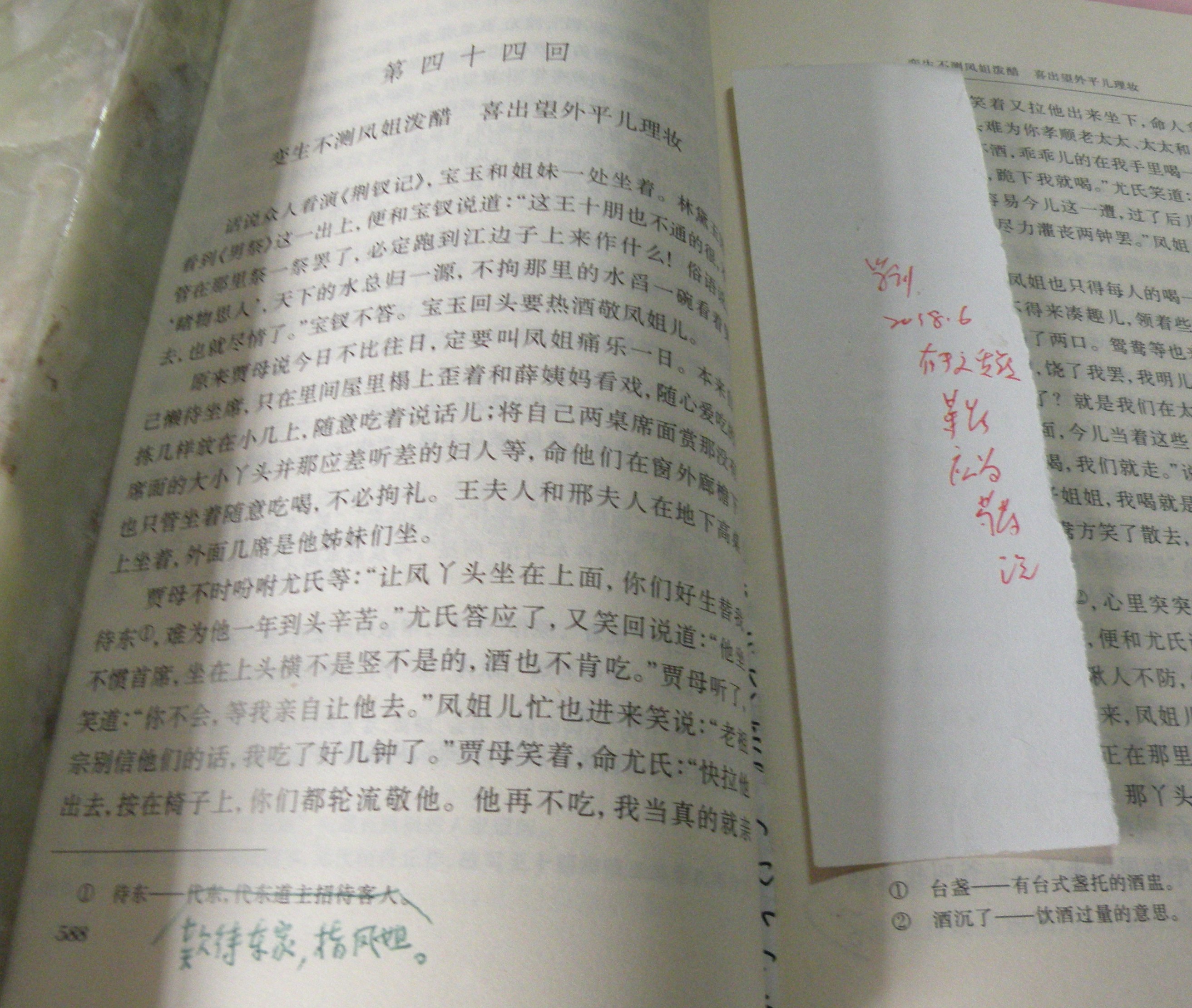 DSCN8517.JPG