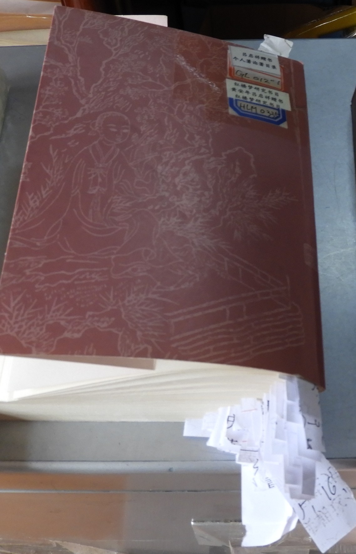 DSCN9008.JPG
