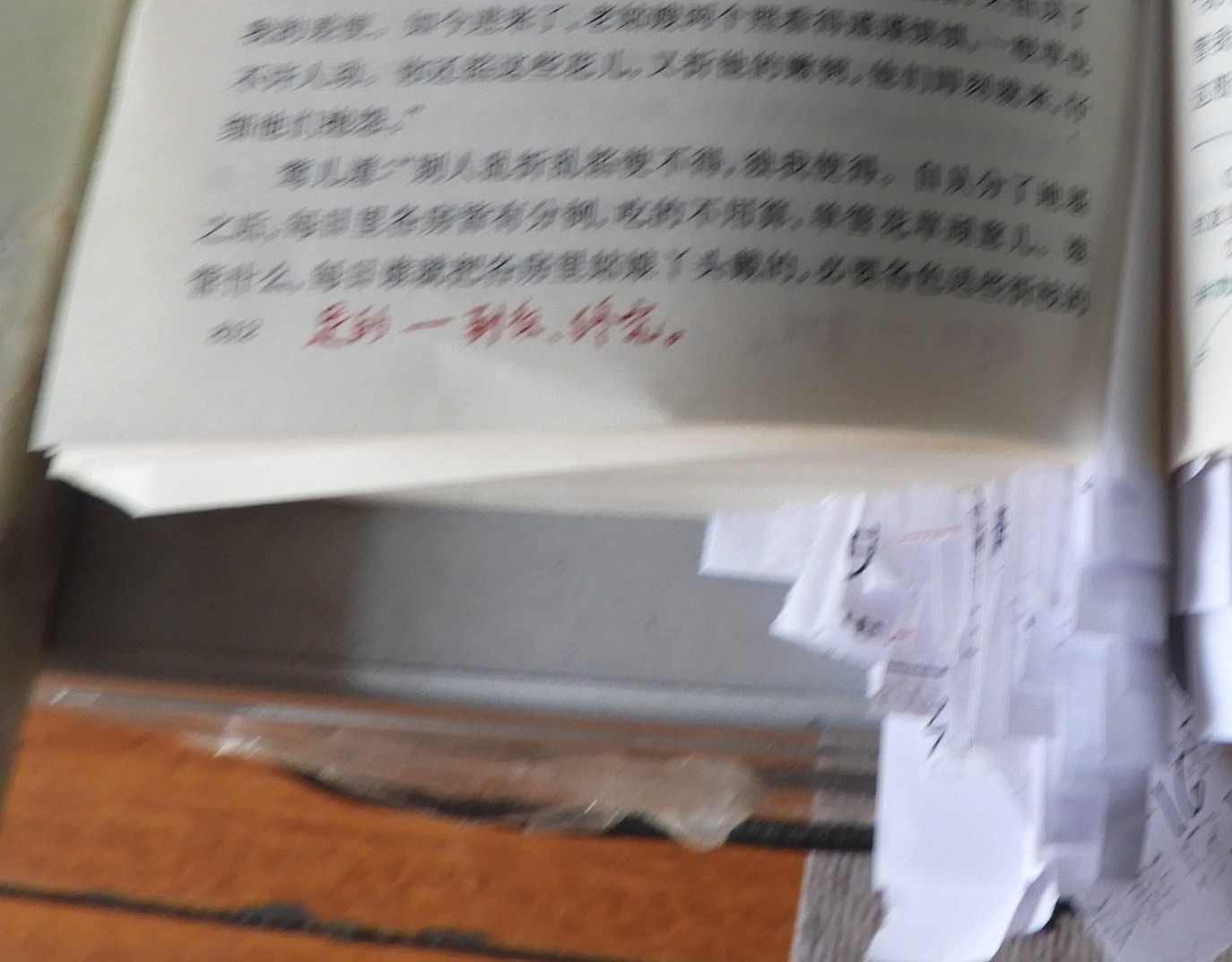 DSCN9004.JPG