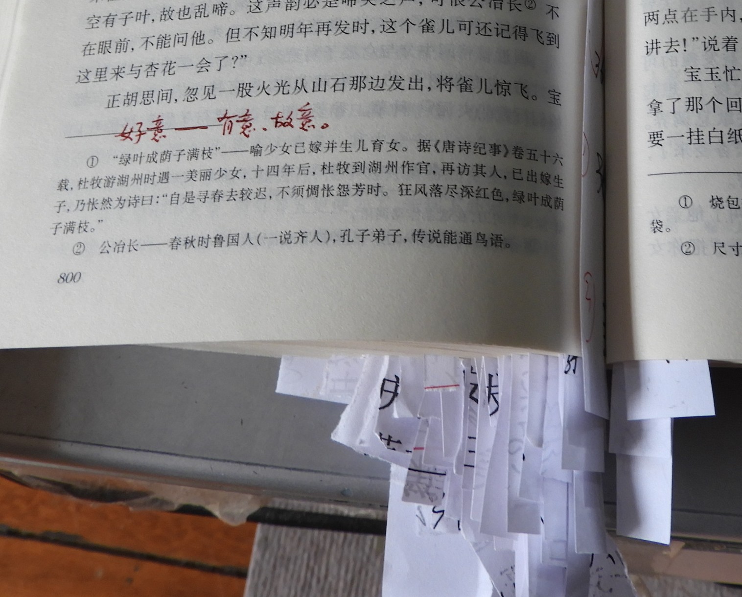 DSCN9002.JPG