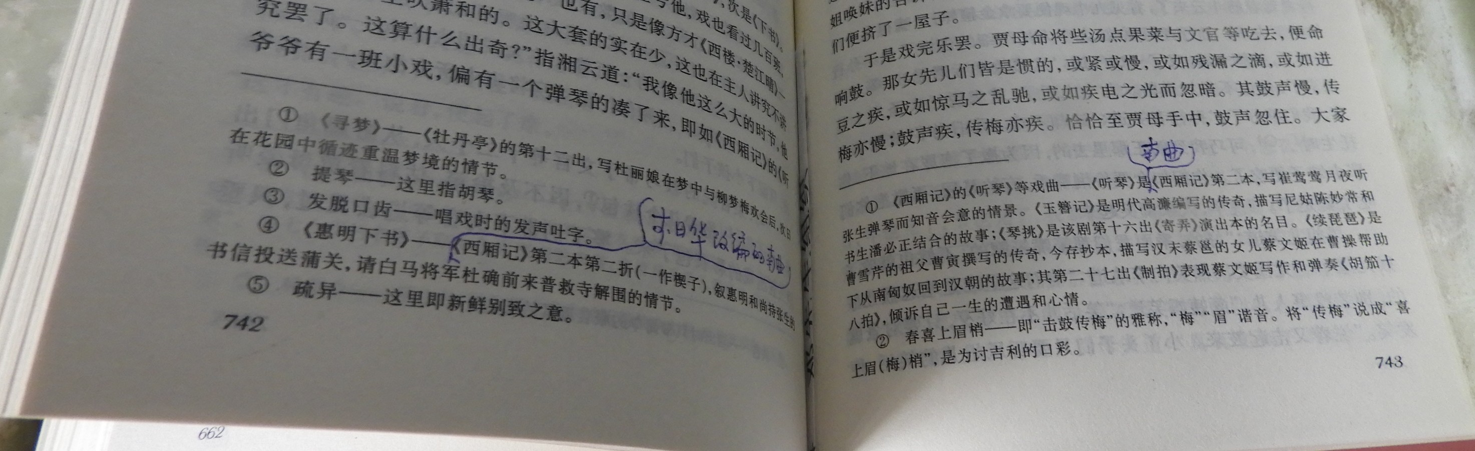 DSCN8993.JPG