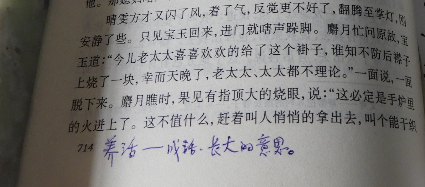 DSCN8990.JPG