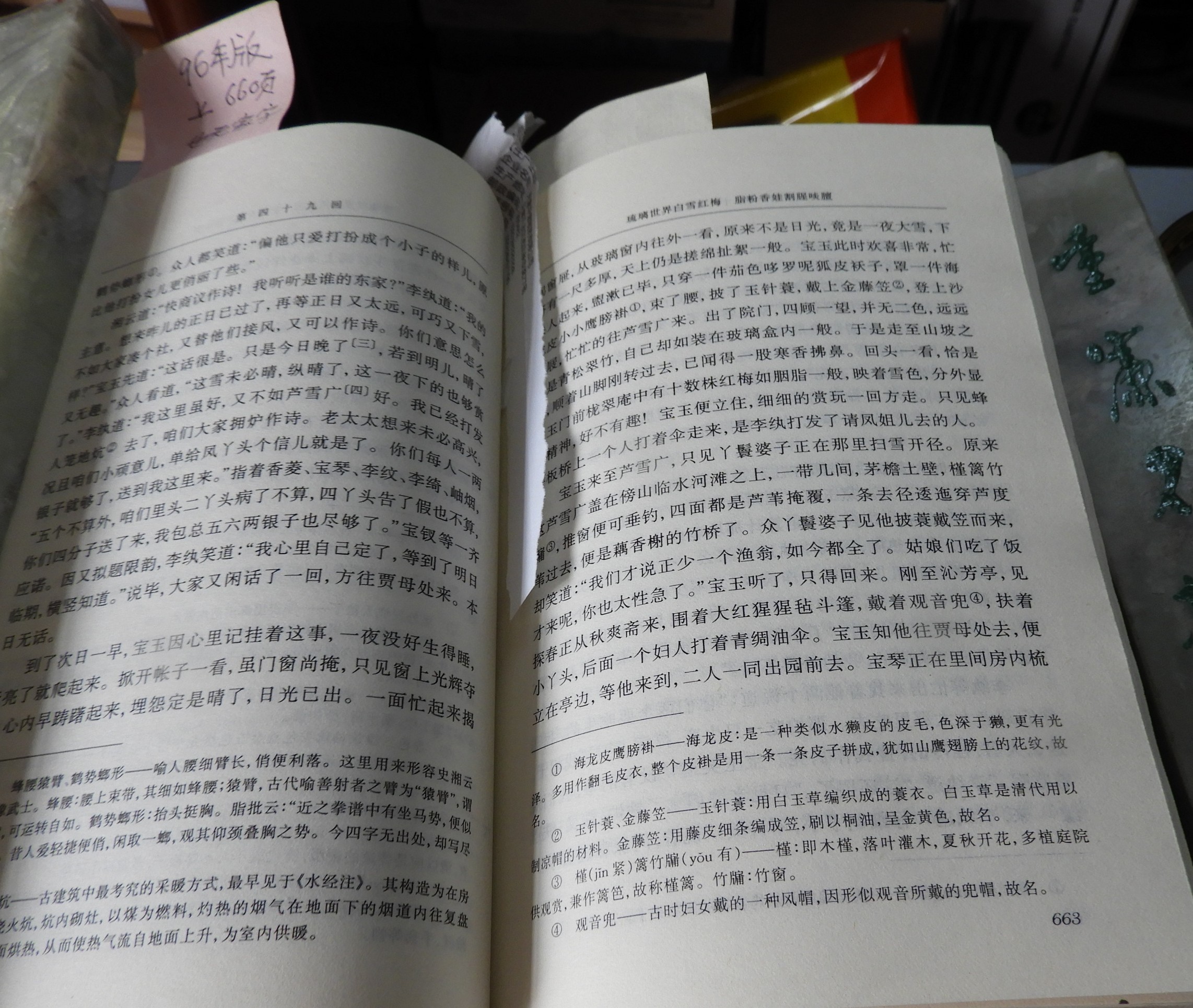 DSCN8983.JPG