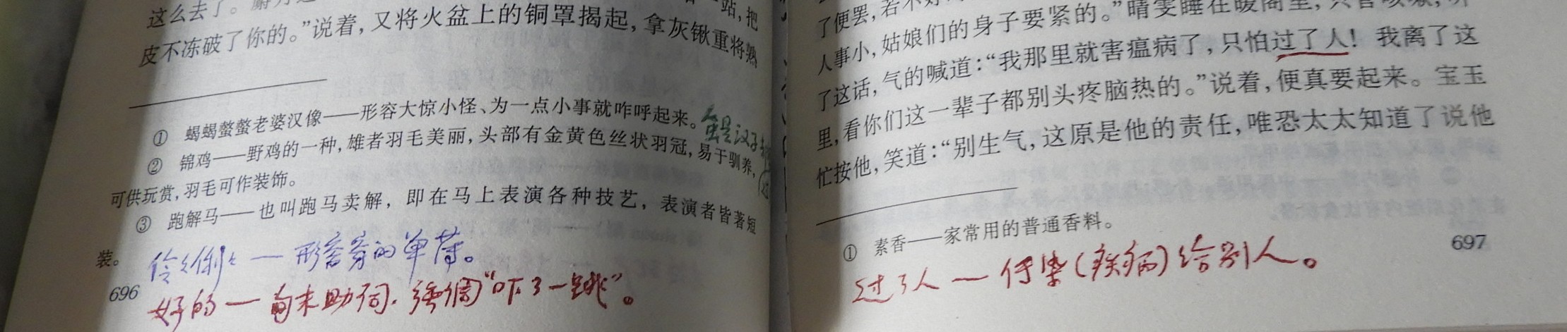DSCN8988.JPG