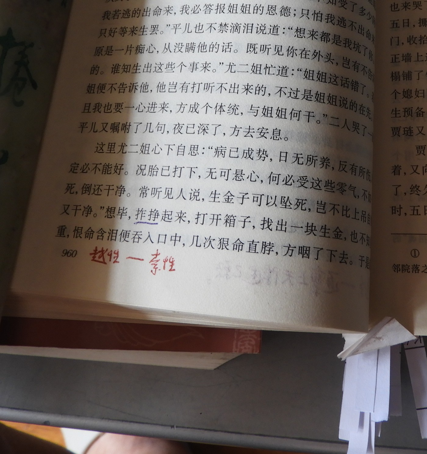DSCN9046.JPG