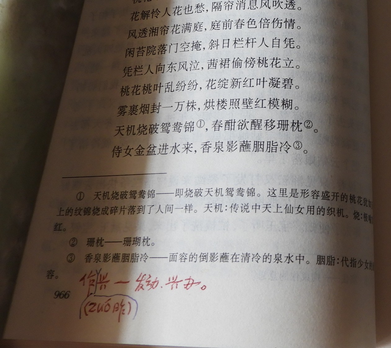 DSCN9049.JPG